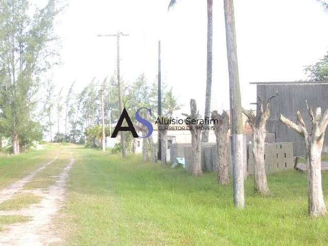 #384 - Terreno para Venda em Ilha Comprida - SP - 2