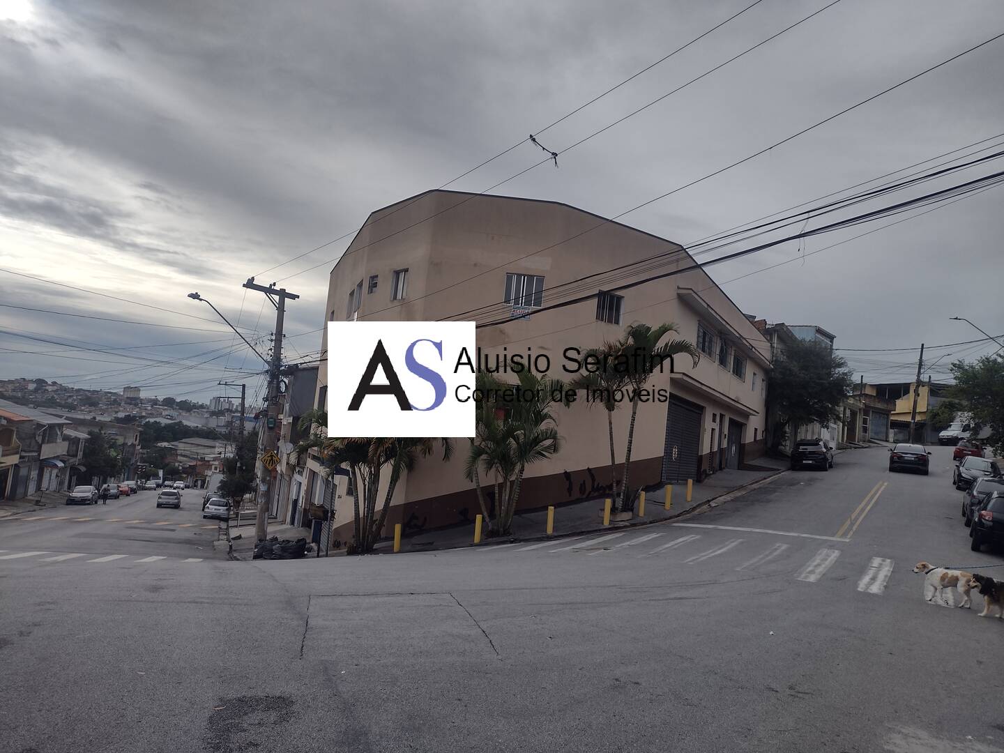 Foto Destaque